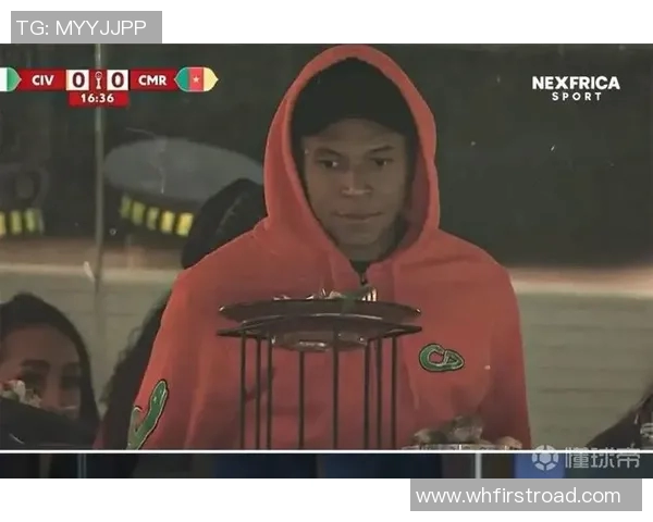 非洲足球明星的璀璨星空：那些闪耀世界的非洲球员们
